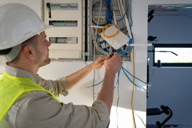 Best Electric Panel Repair  in Kirbyville, TX